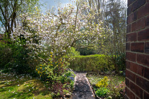 Whirlow Grove Whirlow